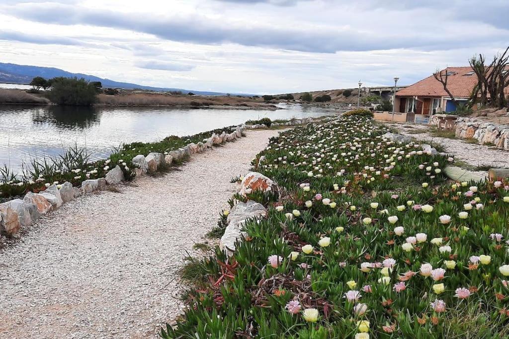 Maisonnette Entre Etang Et Plage Leucate Eksteriør bilde